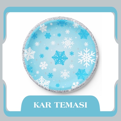 Frozen Parti Malzemeleri