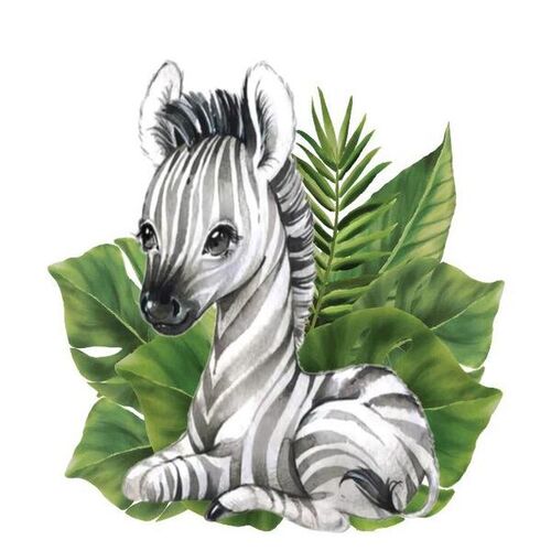 Baby Animal Kişiye Özel Ayaklı Pano Seti