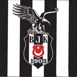 Lisanslı Beşiktaş Kağıt Peçete 16 Parça - 1