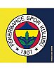 Lisanslı Fenerbahçe Kağıt Peçete 16 Parça - 1