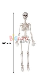 Halloween İskelet 165 cm - 1