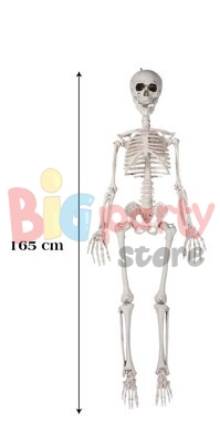 Halloween İskelet 165 cm - 1