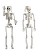 Halloween İskelet 165 cm - 1