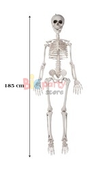 Halloween İskelet 185 cm - 2
