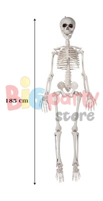 Halloween İskelet 185 cm - 2
