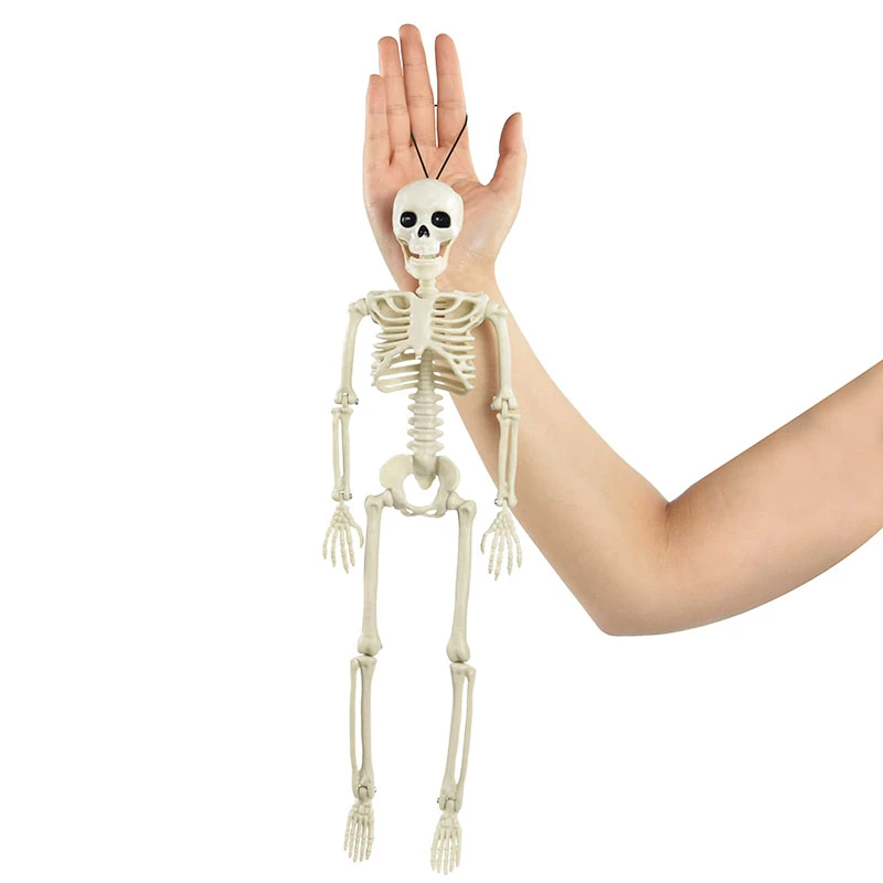 Halloween İskelet 40 cm - 