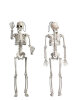 Halloween İskelet 70 cm - 1