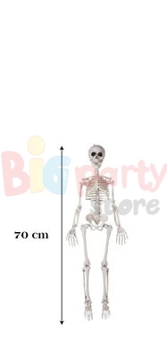 Halloween İskelet 70 cm - 3