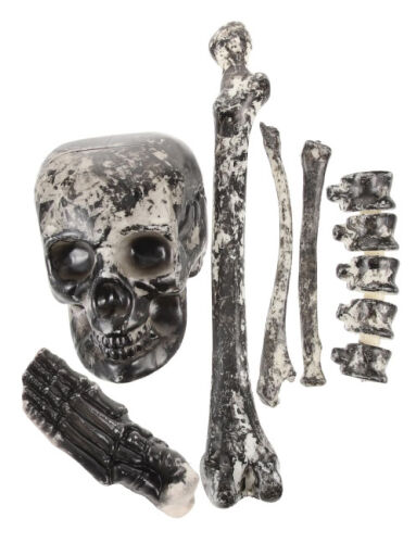 Halloween İskelet Set 6 Parça Beyaz - 1