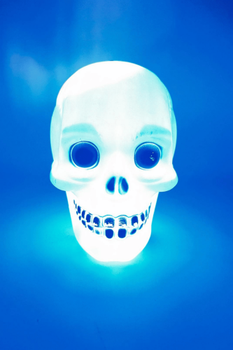 Halloween Kuru Kafa Işıklı 15 Cm - 2