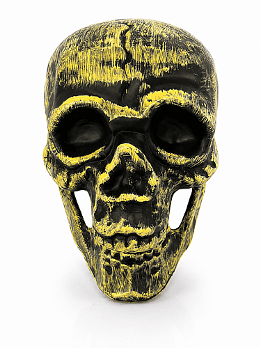 Halloween Kuru Kafa İskelet 20 cm Lüks - 