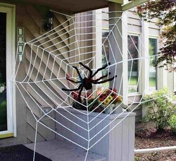 Halloween Örümcek Ağı 1x1 Metre Beyaz - 1