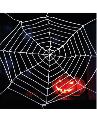 Halloween Örümcek Ağı 1x1 Metre Beyaz - 