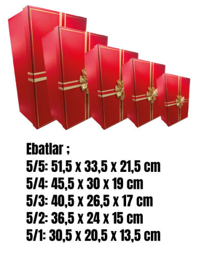 Hediyelik Kutu Raven Dikdörtgen Fiyonklu 5 Parça Simli Kırmızı - 2