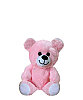 Hediyelik Peluş Oturan Ayıcık 20 Cm Pembe - 1