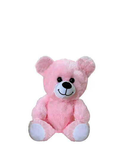 Hediyelik Peluş Oturan Ayıcık 20 Cm Pembe - 