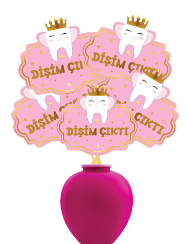 Konuşma Balonu İlk Diş Kız Çocuk Varaklı 5 Parça - 