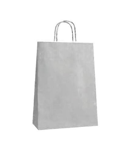 Kağıt Çanta Büklüm Sap 26x32x12 Cm Gümüş 25 Parça - 