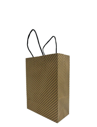 Kağıt Çanta Büklüm Sap 21x27x10 Çizgili 25 Parça - 1