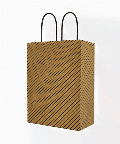 Kağıt Çanta Büklüm Sap 21x27x10 Çizgili 25 Parça - 