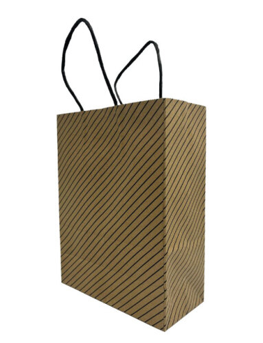 Kağıt Çanta Büklüm Sap 26x32x12 Çizgili 25 Parça - 1
