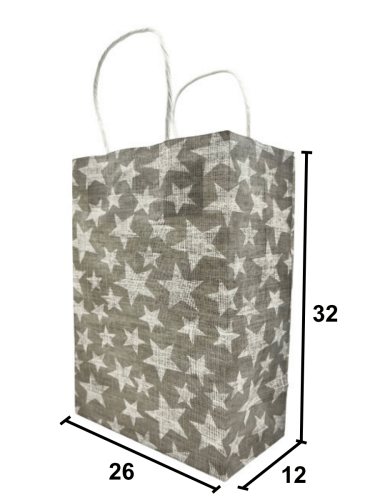 Kağıt Çanta Büklüm Sap 26x32x12 Yıldız 25 Parça Gümüş - 2