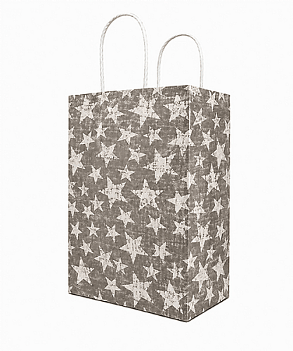 Kağıt Çanta Büklüm Sap 26x32x12 Yıldız 25 Parça Gümüş - 