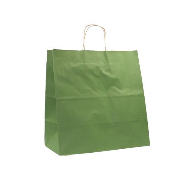 Kağıt Çanta Büklüm Sap Koyu Yeşil Renklı 33*33*18 cm 25 Adet - 1