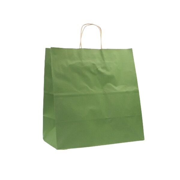 Kağıt Çanta Büklüm Sap Koyu Yeşil Renklı 33 x 33 x 18 Cm 25 Parça - 1