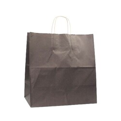Kağıt Çanta Büklüm Sap Siyah Renklı 33 x 33 x 18 Cm 25 Parça - 1