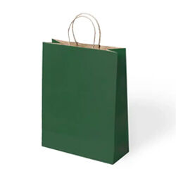 Kağıt Çanta Büyük Boy 31 x 41 x 12 Cm Koyu Yeşil 25 Parça - 