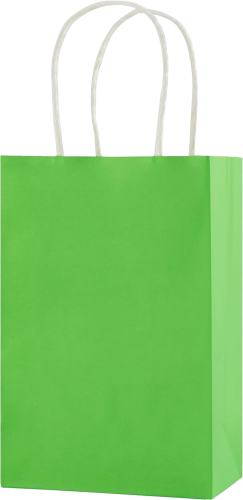 Kağıt Çanta Mini Boy 11x15x6 Cm 25 Parça Açık Yeşil - 2