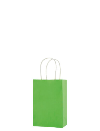 Kağıt Çanta Mini Boy 11x15x6 Cm 25 Parça Açık Yeşil - 
