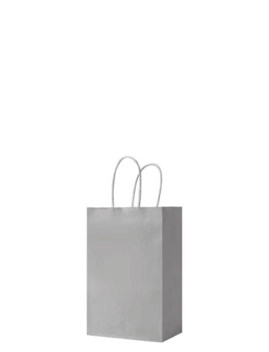 Kağıt Çanta Mini Boy 11x15x6 Cm 25 Parça Gümüş - 1
