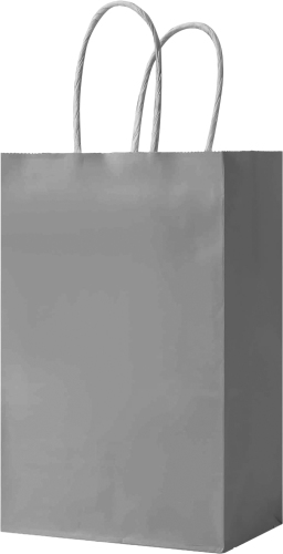 Kağıt Çanta Mini Boy 12x15x6 Cm 25 Parça Gümüş - 2