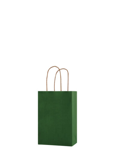 Kağıt Çanta Mini Boy 11x15x6 Cm 25 Parça Koyu Yeşil - 1