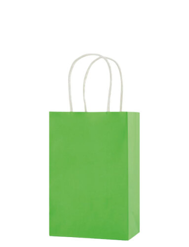 Kağıt Çanta Mini Boy 16x21x8 Cm 25 Parça Açık Yeşil - 1