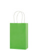 Kağıt Çanta Mini Boy 16x21x8 Cm 25 Parça Açık Yeşil - 1