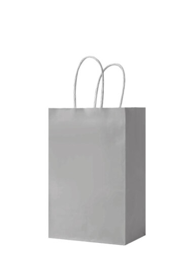 Kağıt Çanta Mini Boy 16x21x8 Cm 25 Parça Gümüş - 1