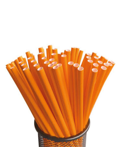 Kağıt Pipet Turuncu 24 Parça - 