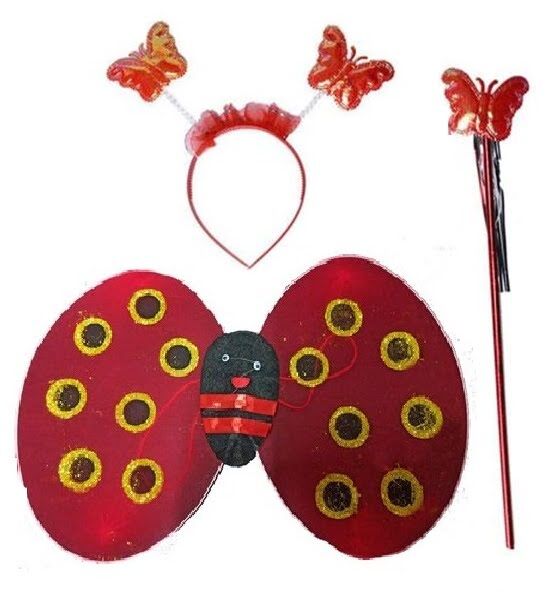 Kanat Set Uğur Böceği Lüks - 