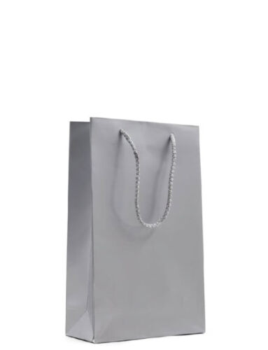Karton Çanta 17 x 25 x 5 Cm Gümüş 25 Parça - 