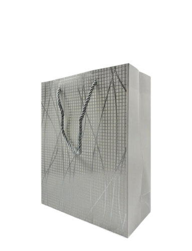 Karton Çanta 18x20x9 Cm Varaklı 10 Parça Gümüş - 