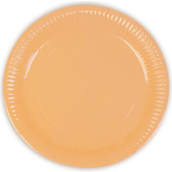 Karton Tabak Makaron Somon 8 Parça - 