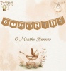Karton Yazı 6 Months Banner - 1