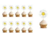 Kürdan Papatya 10 Parça - 1