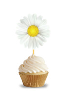 Kürdan Papatya 10 Parça - 2