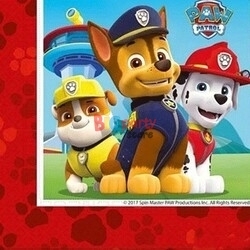 Lisanslı Paw Patrol Kağıt Peçete - 1