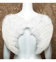 Melek Kanadı Tüylü 45 x 30 Cm Beyaz - 1