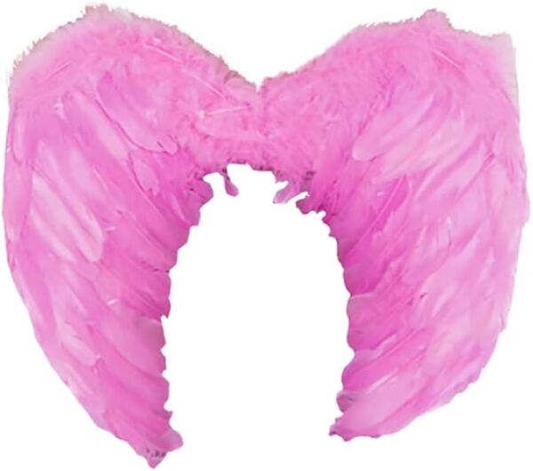 Melek Kanadı Tüylü 50 x 35 Cm Pembe - 